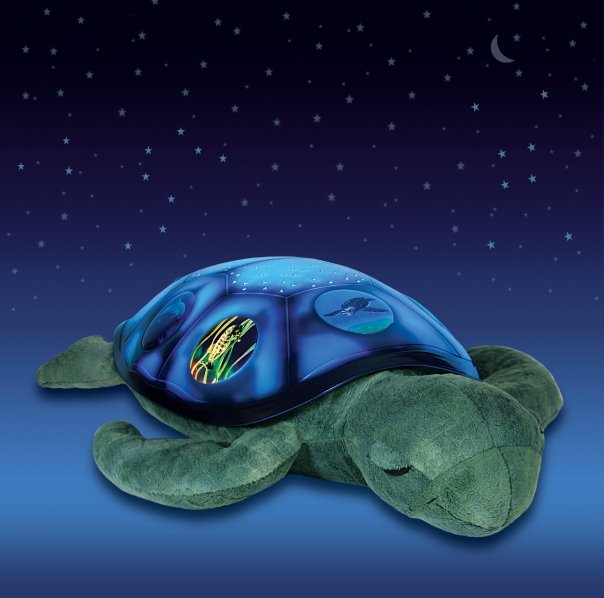 (D) Hvězdná mořská Želvička - VYŘAZENO